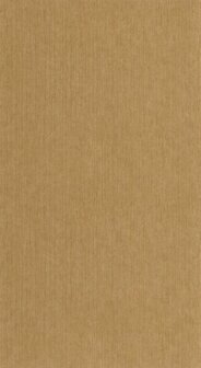 Caselio Matieres - Bruin MMT106012234 Behang