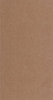 Caselio Matieres - Bruin MMT106012450 Behang