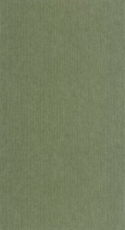 Caselio Matieres - Groen MMT106017230 Behang