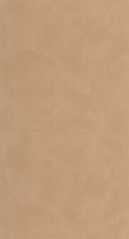 Caselio Origine - Beige OGN106081350 Behang