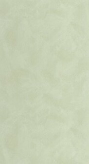 Caselio Origine - Groen OGN106087046 Behang