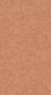 Caselio Reliefs - Bruin RLF101483522 Behang