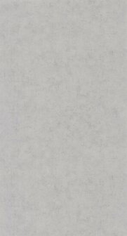 Caselio Reliefs - Grijs RLF101489460 Behang