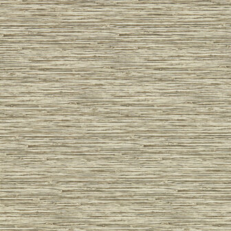 Breegan Jane x Clarke and Clarke - Beige W0192/03 Behang