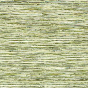 Breegan Jane x Clarke and Clarke - Groen W0192/04 Behang