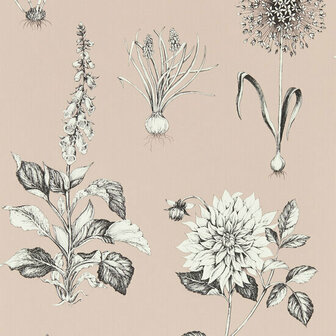 Clarke &amp; Clarke Secret Garden - Roze W0197/01 Behang