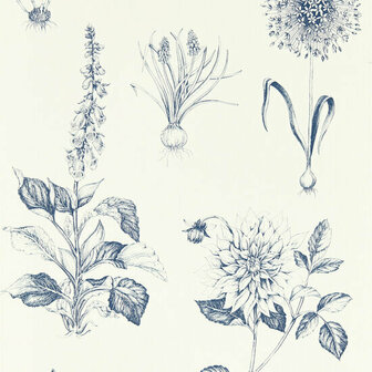 Clarke &amp; Clarke Secret Garden - Blauw W0197/03 Behang