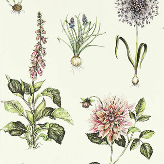 Clarke &amp; Clarke Secret Garden - Multicolours W0197/05 Behang