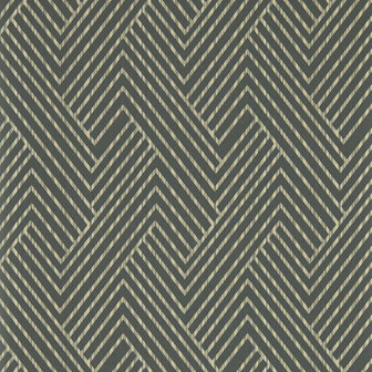 Clarke &amp; Clarke Vivido - Zwart W0181/01 Behang