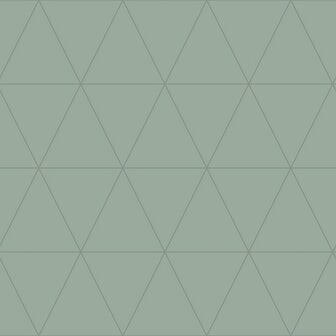 Origin Wallcoverings City Chic 347714 - Groen Behang