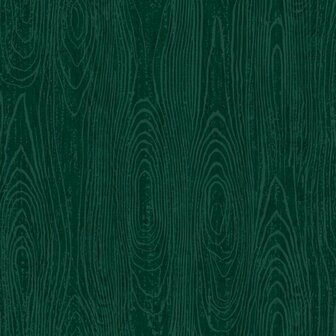 Origin Wallcoverings Mati&egrave;res 347557 - Groen Behang