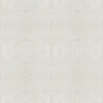 Origin Wallcoverings Raw Elegance 347309 - Beige Behang