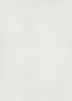 Dutch Wall Decor Spotlight 2 10403-01 / 1040301 Behang