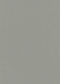 Dutch Wall Decor Spotlight 2 10437-24 / 1043724 Behang