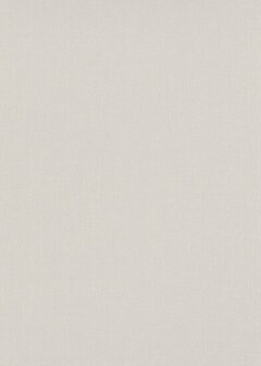 Dutch Wall Decor Spotlight 2 10437-38 / 1043738 Behang
