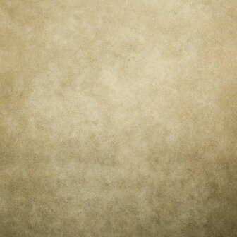 Hohenberger Wallcoverings Urban Classics 30039-HTM Behang