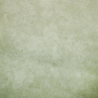 Hohenberger Wallcoverings Urban Classics 30040-HTM Behang
