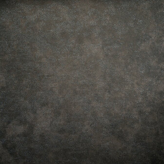 Hohenberger Wallcoverings Urban Classics 30042-HTM Behang