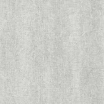 Dutch Wallcoverings Feature Walls FW1034 - Grijs Behang