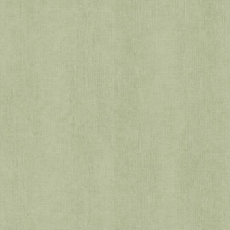 Dutch Wallcoverings Feature Walls FW1038 - Groen Behang