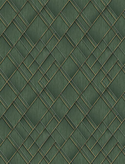 Dutch Wallcoverings Feature Walls FW4037-5 - Groen Behang