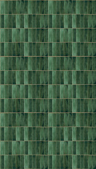 Dutch Wallcoverings Feature Walls FW4045-4 - Groen Behang