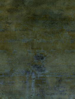 Dutch Wallcoverings Feature Walls FW4050-4 - Brons Behang