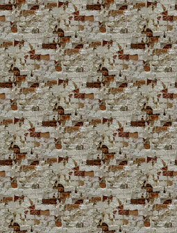 Dutch Wallcoverings Feature Walls FW4056-1 - Wit/rood Behang