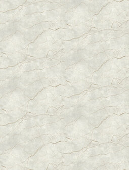Dutch Wallcoverings Feature Walls FW4060-1 - Beige Behang