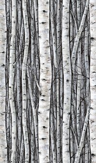 Noordwand Timber 35395 Zwart