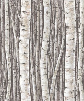 Noordwand Timber 35394 Bruin
