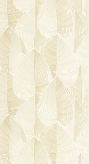 Caselio Light LIG106591029