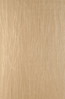 Arte Embleme (incl. Gratis Lijm*) 38005A
