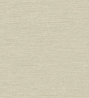Arte Caf&eacute; Society (incl. Gratis Lijm*) CS41