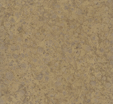 HookedOnWalls Material Matters (incl. Gratis Lijm*) 24730 Goud