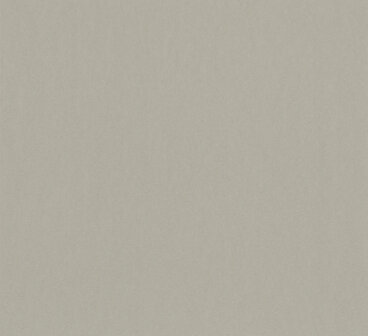 HookedOnWalls Material Matters (incl. Gratis Lijm*) 24762 Champagne