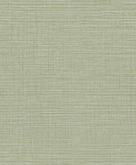 HookedOnWalls Umami (incl. Gratis Lijm*) 30233 Groen