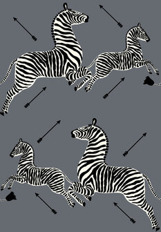 HookedOnWalls Scalamandre (incl. Gratis Lijm*) JV26005