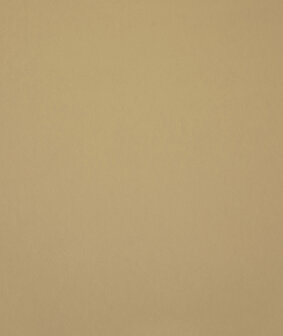HookedOnWalls Young Traditionals (incl. Gratis Lijm*) 27850
