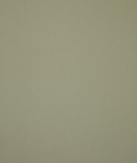 HookedOnWalls Young Traditionals (incl. Gratis Lijm*) 27851