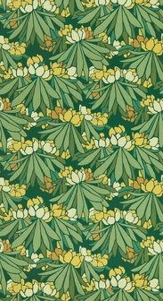 HookedOnWalls Young Traditionals (incl. Gratis Lijm*) 27826