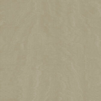 HookedOnWalls Material Matters (incl. Gratis Lijm*) 24737 Champagne