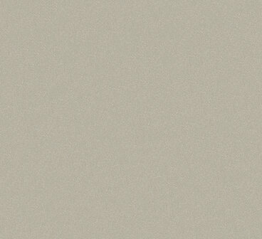 HookedOnWalls Material Matters (incl. Gratis Lijm*) 24711 Champagne