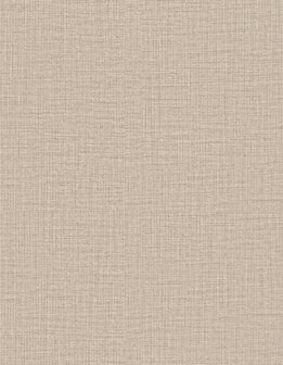 Arte Merino (Incl. Gratis Lijm*) 63506 Beige 