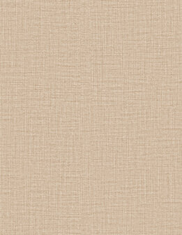 Arte Merino (Incl. Gratis Lijm*) 63507 Beige