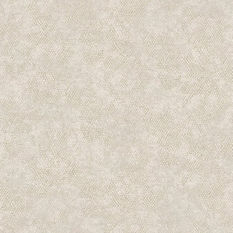 Dutch First Class Textura (Met Gratis Lijm*) 66122