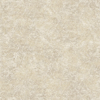 Dutch First Class Textura (Met Gratis Lijm*) 66123