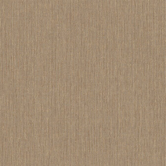 Dutch First Class Textura (Met Gratis Lijm*) 66130