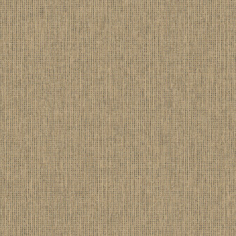 Dutch First Class Textura (Met Gratis Lijm*) 66131