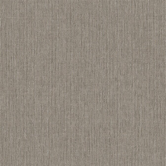 Dutch First Class Textura (Met Gratis Lijm*) 66133